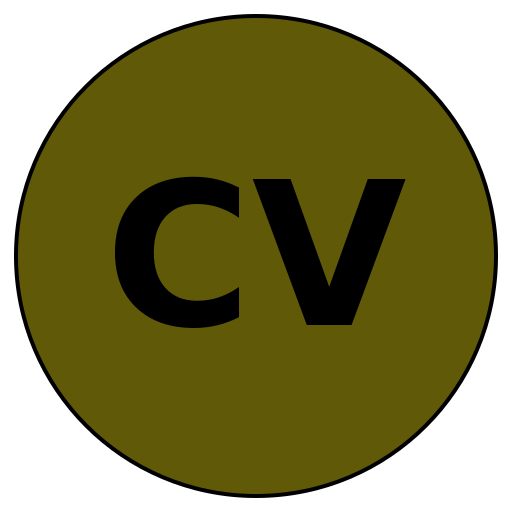 CareerVision